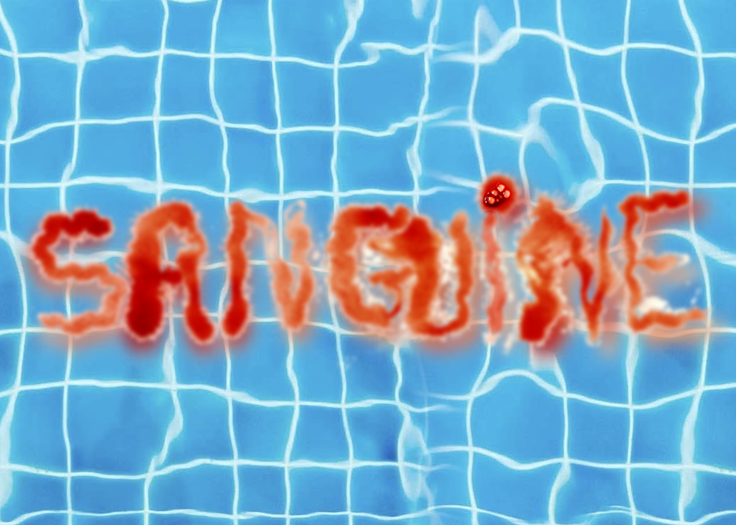 Sanguine de Capucine Pinaud - 