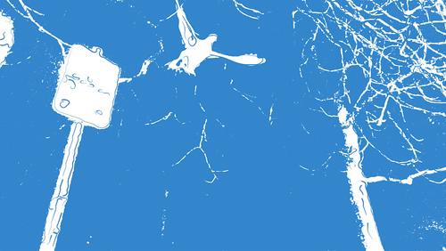 Couverture du film Story of my Triumph