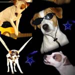 Photo Action of Jack and Co.