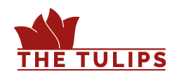 Photo The Tulips