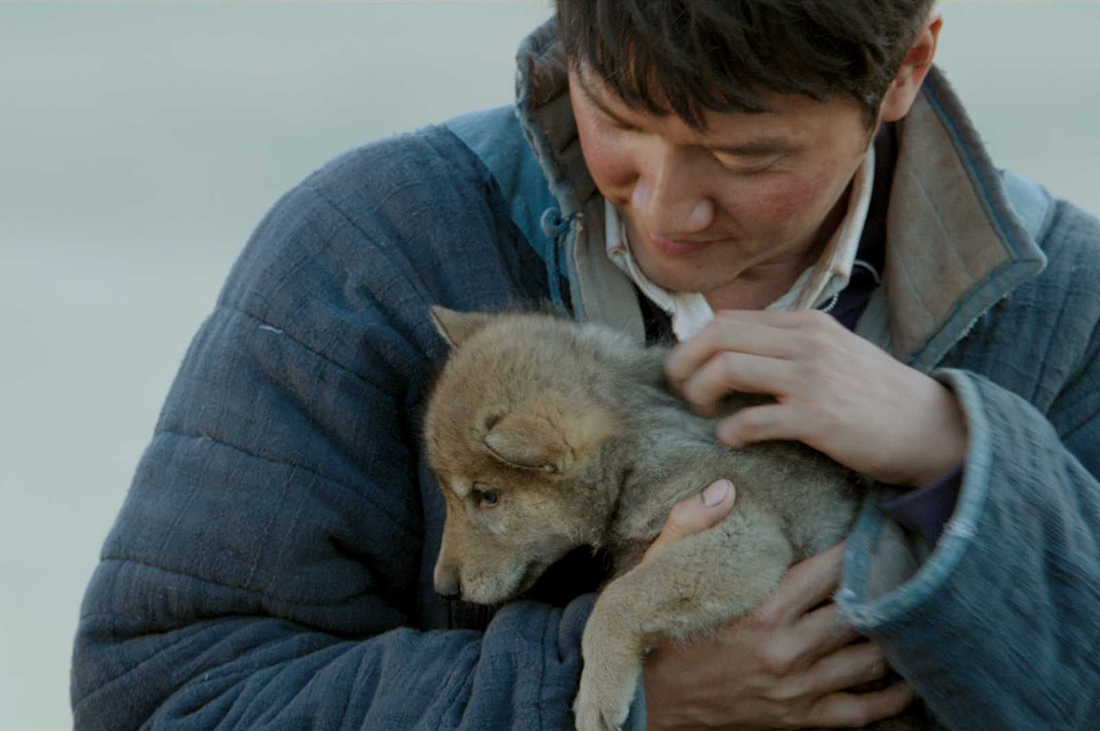 Le Dernier Loup, de Jean-Jacques Annaud