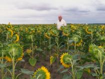Beau comme un tracteur