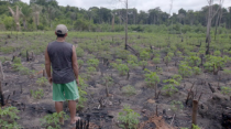 Les oubliés de l'Amazonie