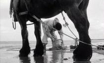 Pêcheurs à cheval