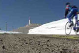 Le solitaire du Ventoux