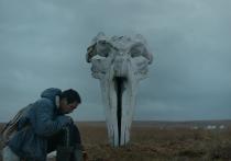 The whaler boy