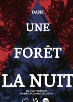 Dans une forêt la nuit