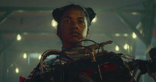 De gebroeders schimm