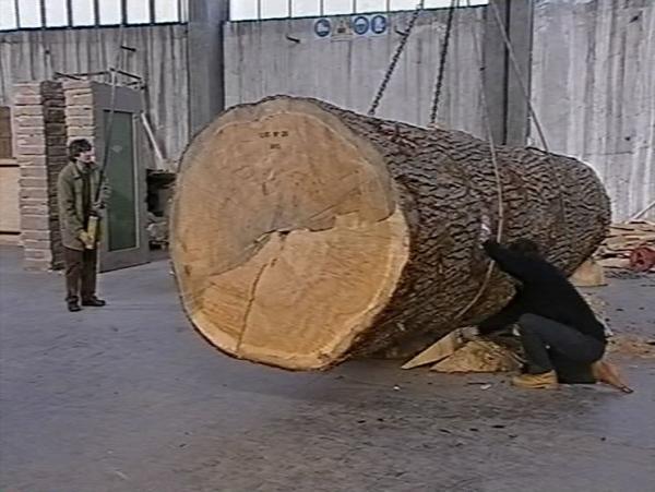 Giuseppe Penone, les chemins de la main