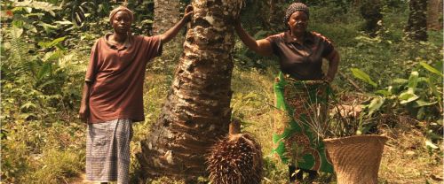 Amuka - L'Éveil des paysans congolais