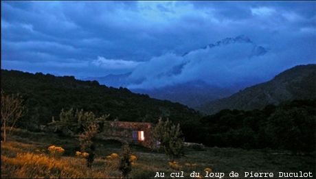 Au cul du loup