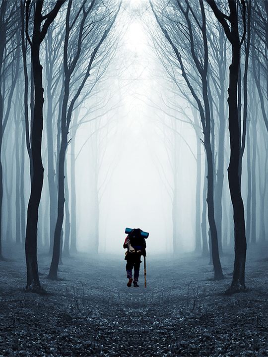 Compostelle, le chemin de la vie