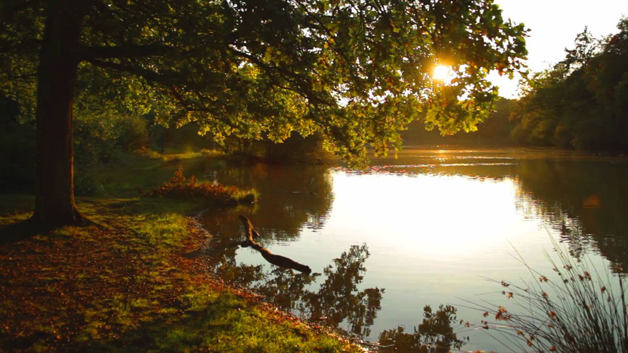 Compostelle, le chemin de la vie