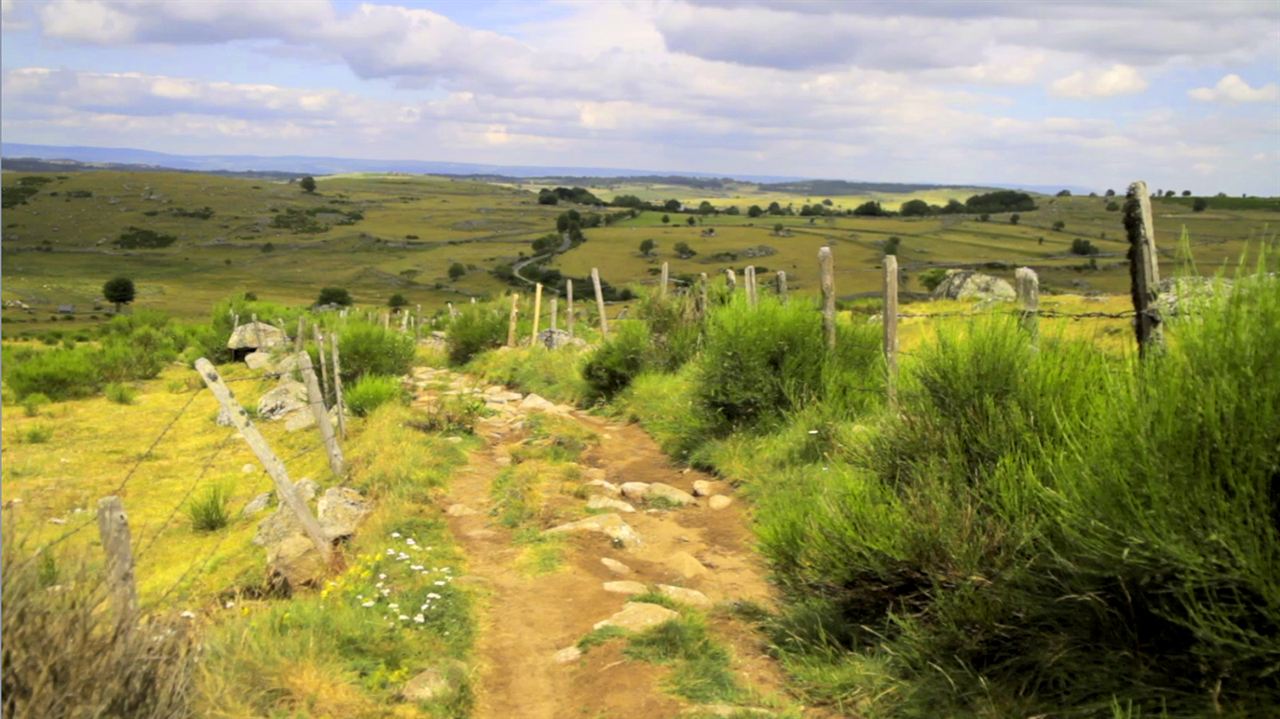 Compostelle, le chemin de la vie