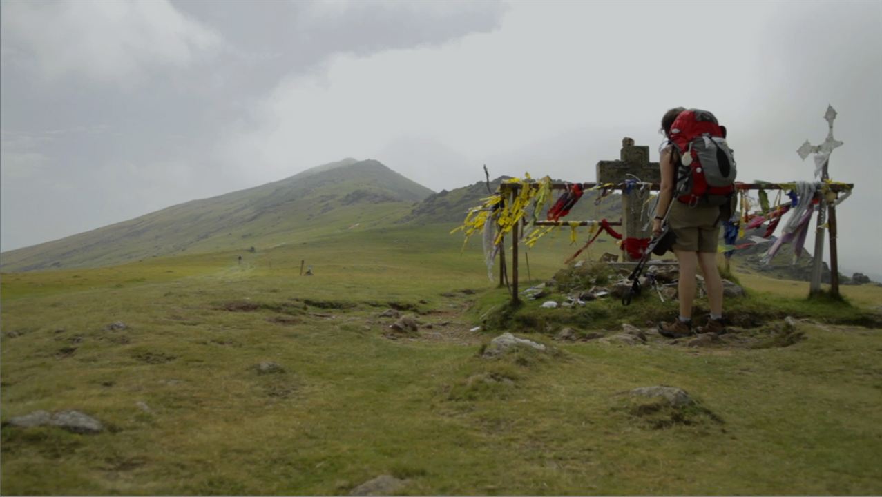 Compostelle, le chemin de la vie