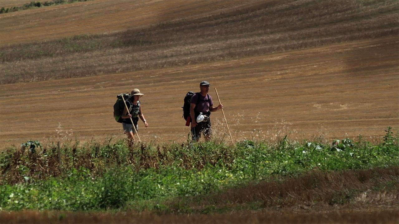 Compostelle, le chemin de la vie
