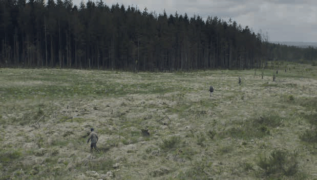 Dans une forêt la nuit