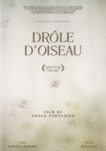 Drôle d'oiseau