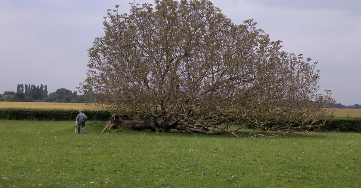 En quête  de terre