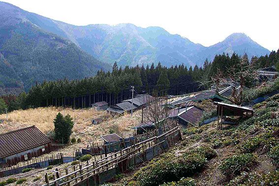 Harimano