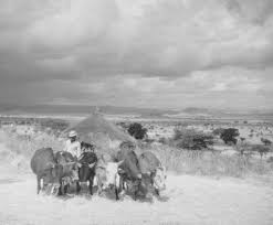 Images d'Ethiopie