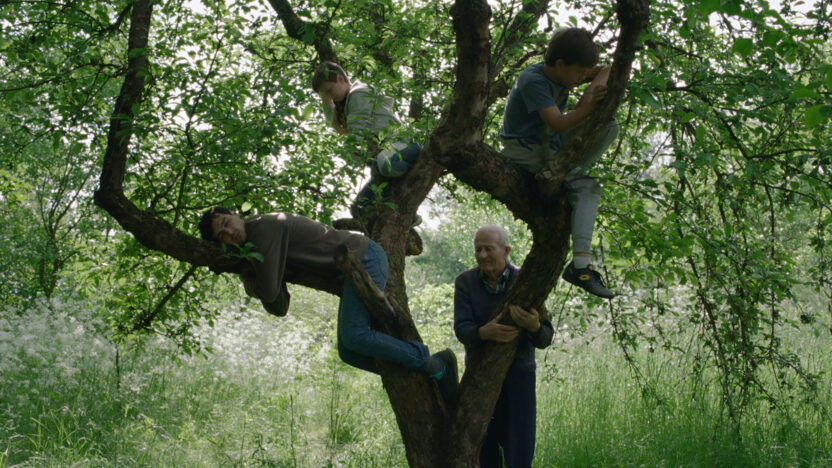 L'Arbre de l'authenticite