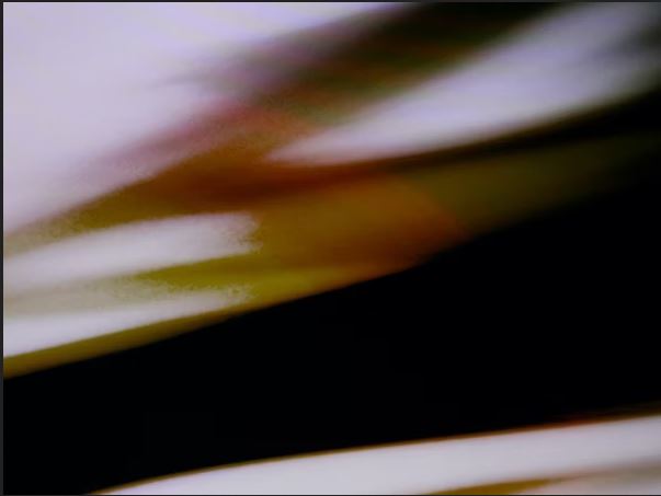 Melantrope