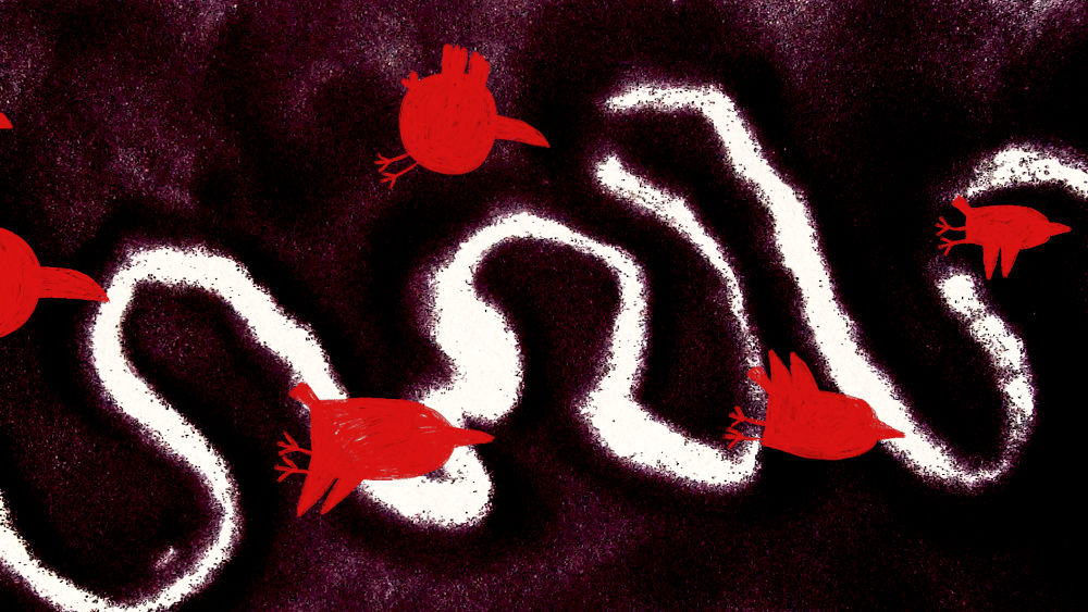 Les Oiseaux