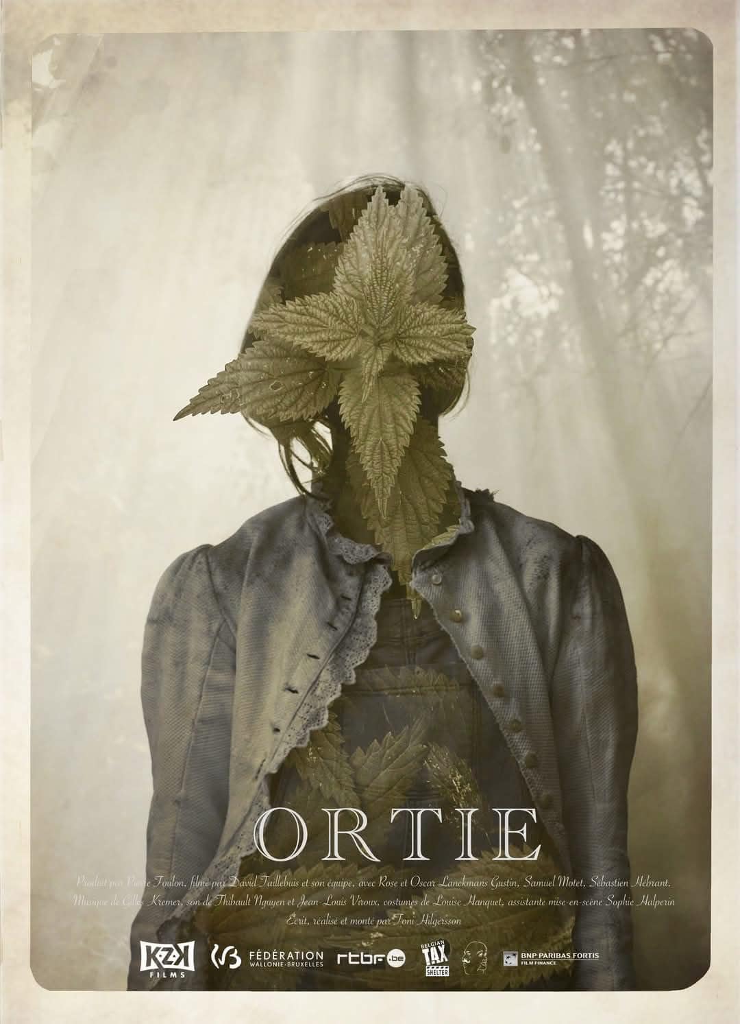 Ortie
