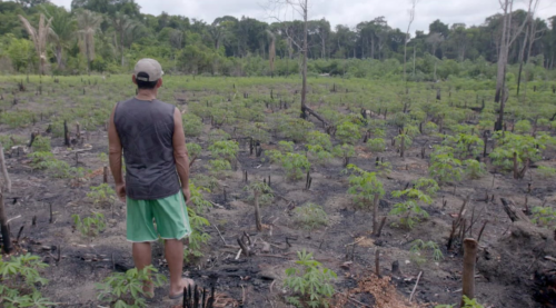 Les oubliés de l'Amazonie