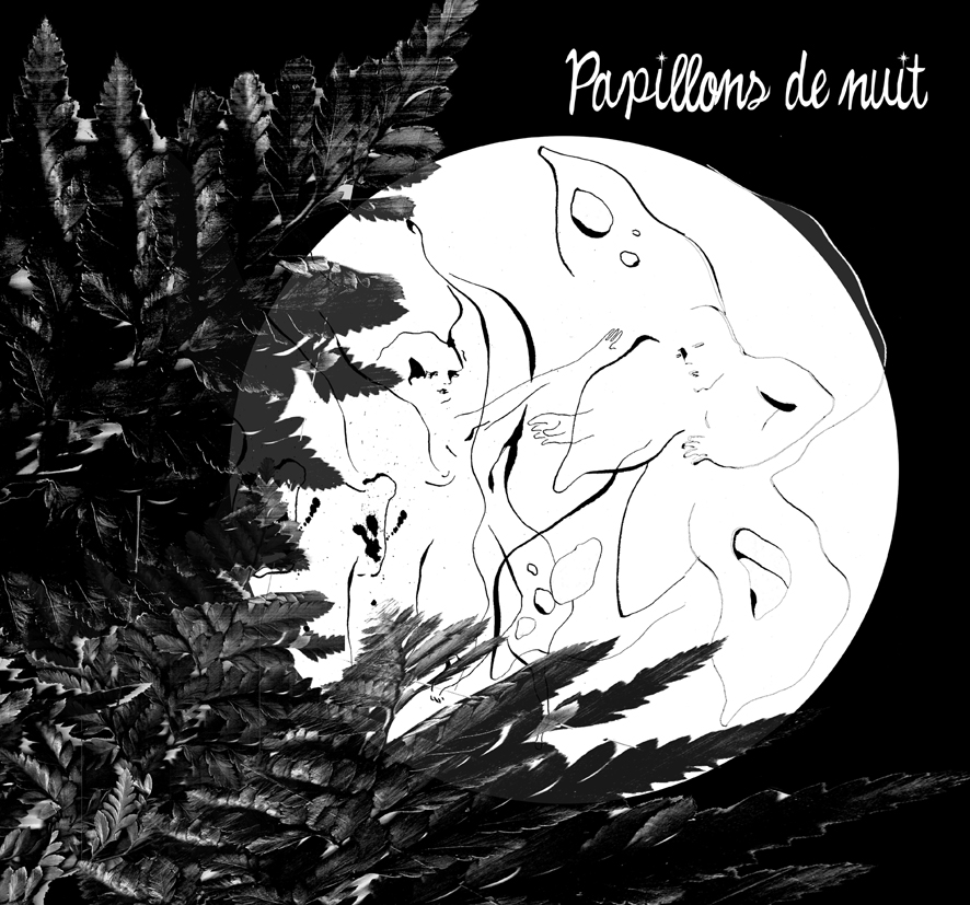 Papillons de nuit
