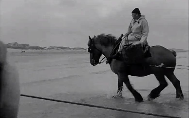Pêcheurs à cheval