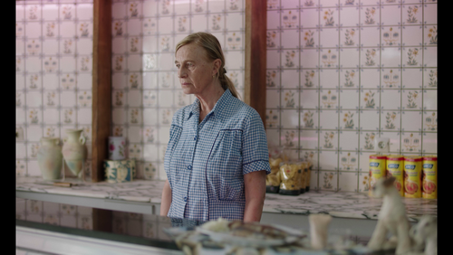 Portrait Of A Disappearing Woman