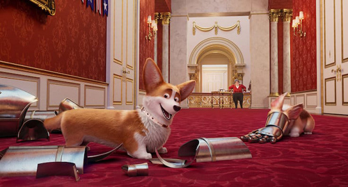 Royal Corgi