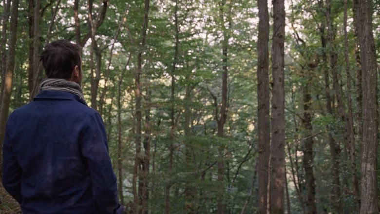 La Sagesse de nos arbres