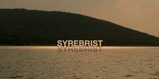 Syrebrist