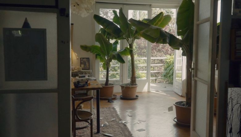 The Silence of The Banana Trees