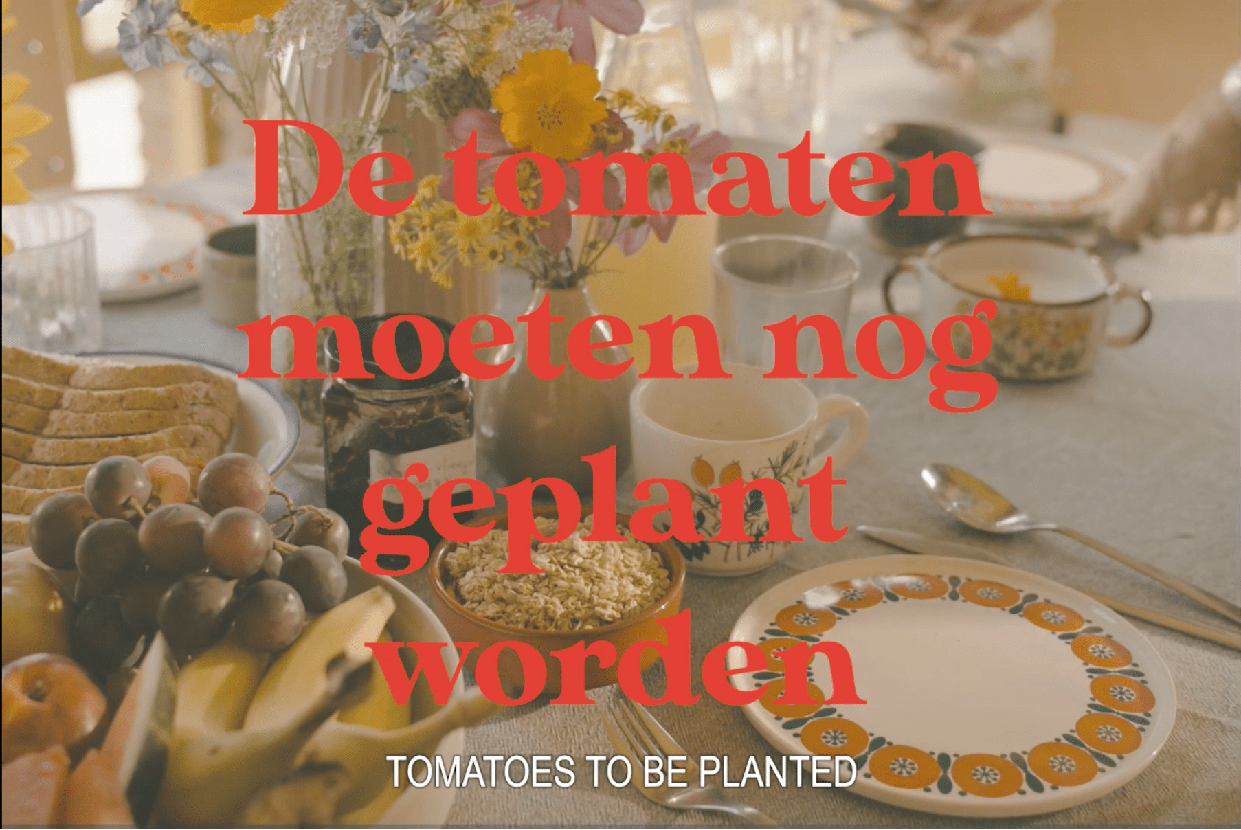 Tomatoes to be planted