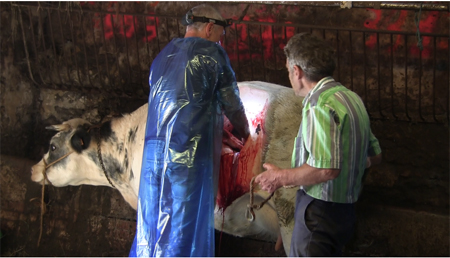 Une ferme entre chien et loup