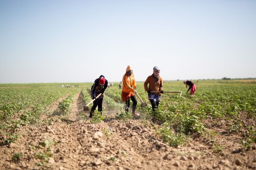 La Vie d'une petite culotte et de celles qui la fabriquent