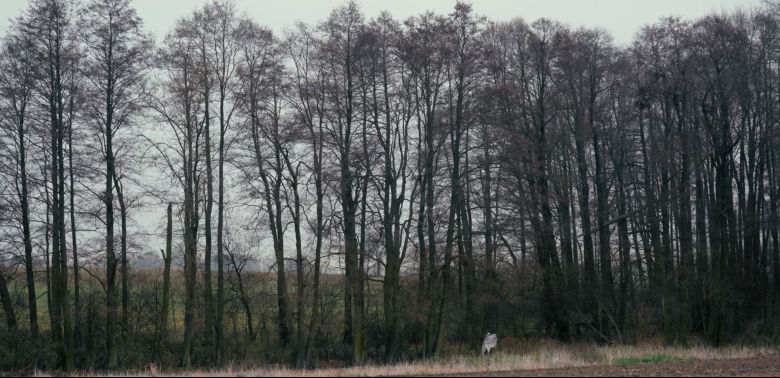 Le Voyage de Ghosty et grand-mère Suzy