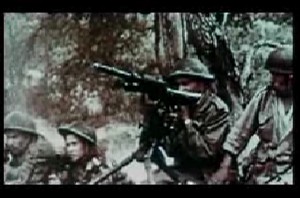 Algérie, images d'un combat