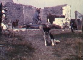 Blockhaus Mia