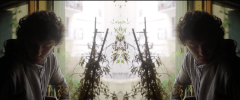 Chaos et café froid