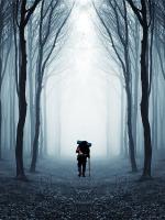 Compostelle, le chemin de la vie