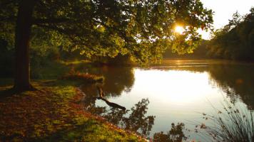 Compostelle, le chemin de la vie