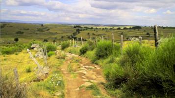 Compostelle, le chemin de la vie