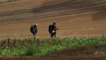 Compostelle, le chemin de la vie