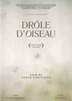 Drôle d'oiseau