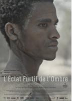 L'Eclat furtif de l'ombre